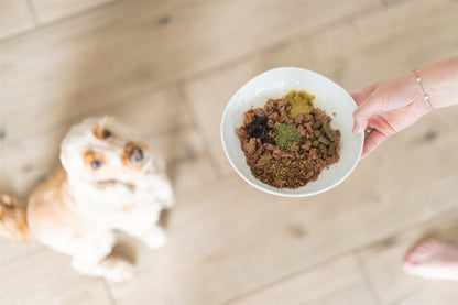 Honden voeding met groene hennep
