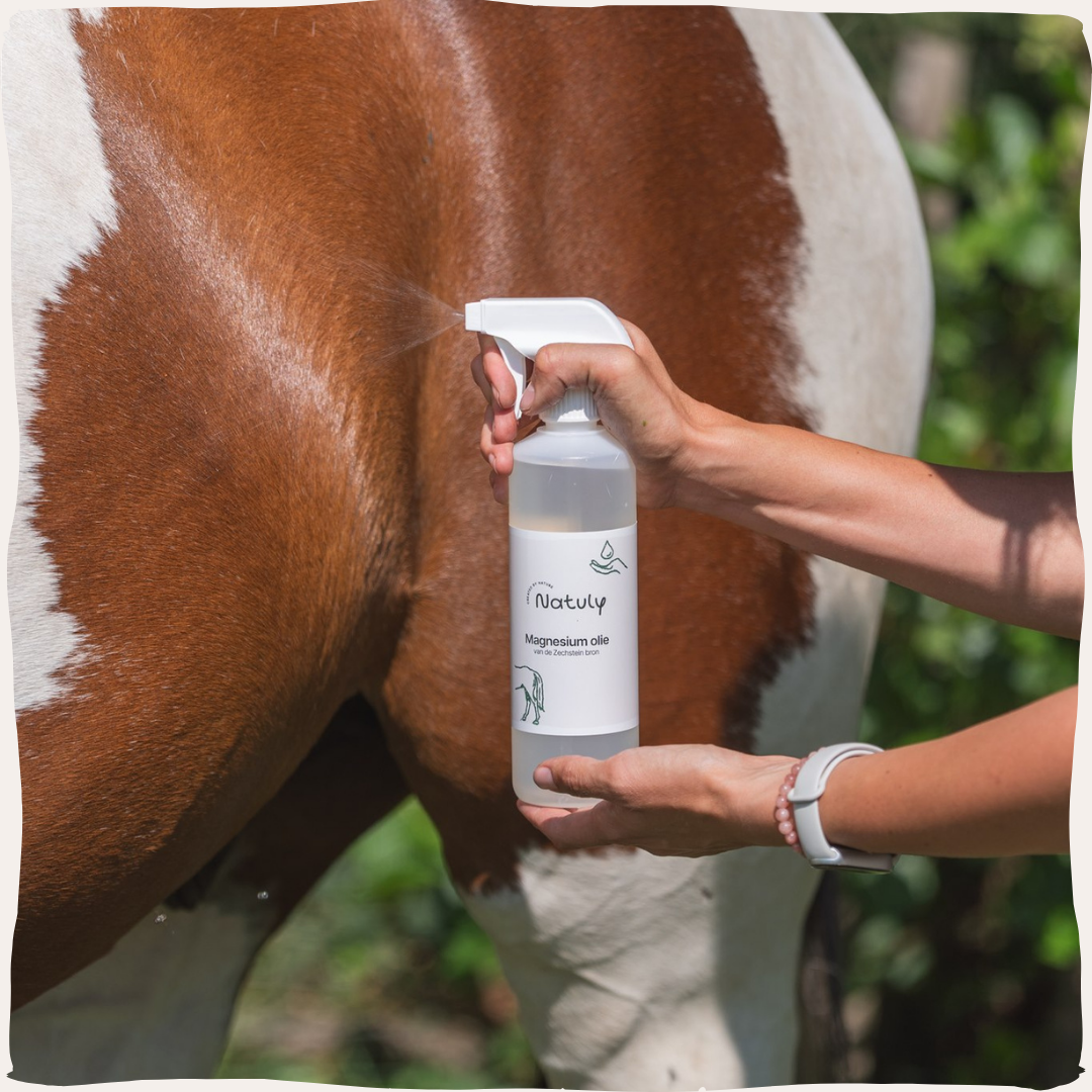 Magnesiumolie spray